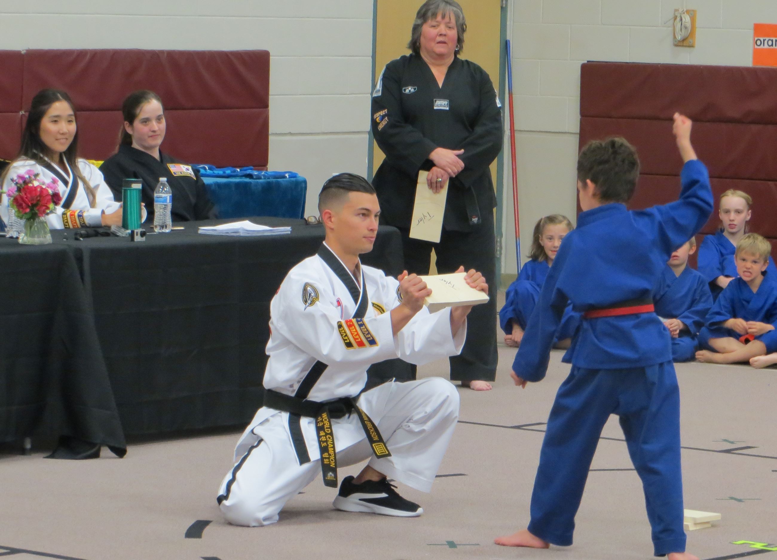 Young Martial Artist About to Break a Board