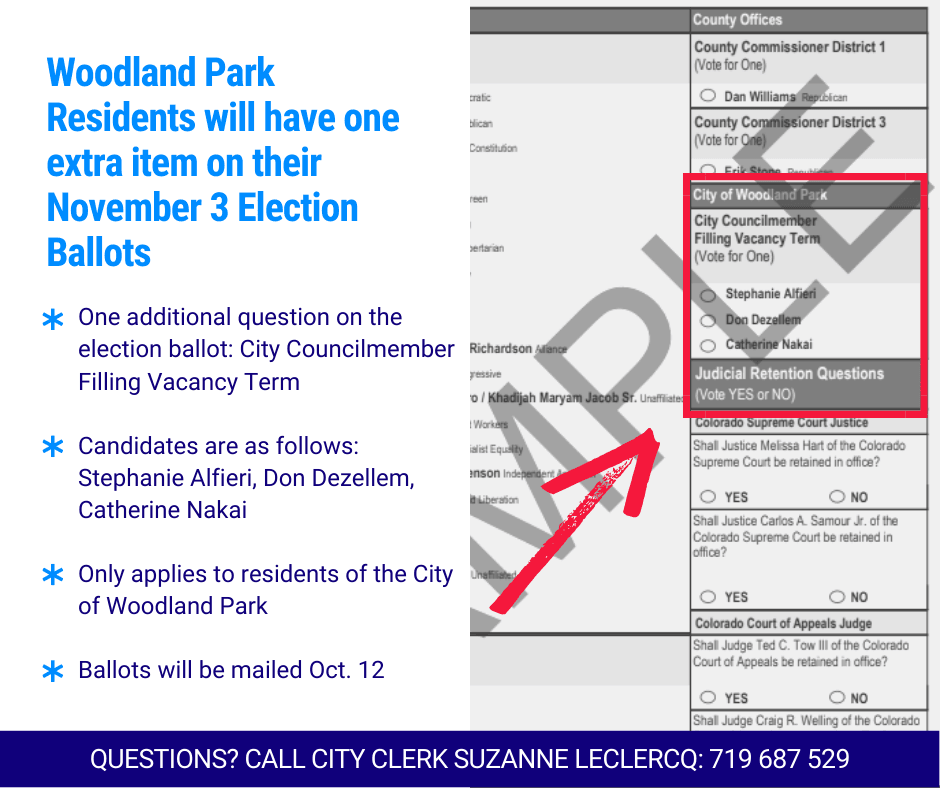 November Election Ballot - Additional Item (1)