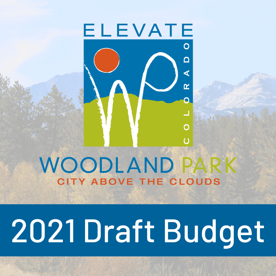 2021 Draft Budget