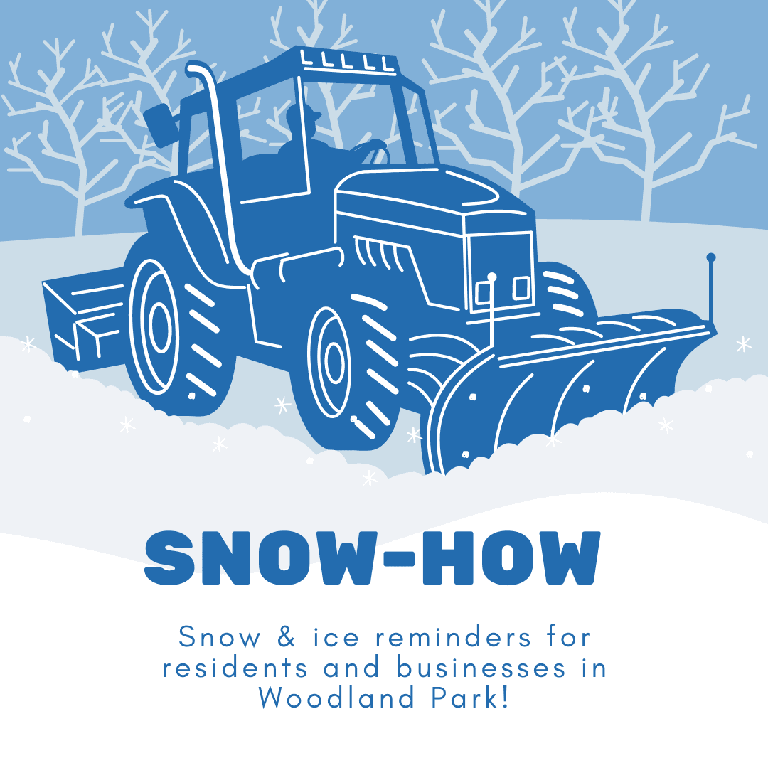 Image of Snow Plow 