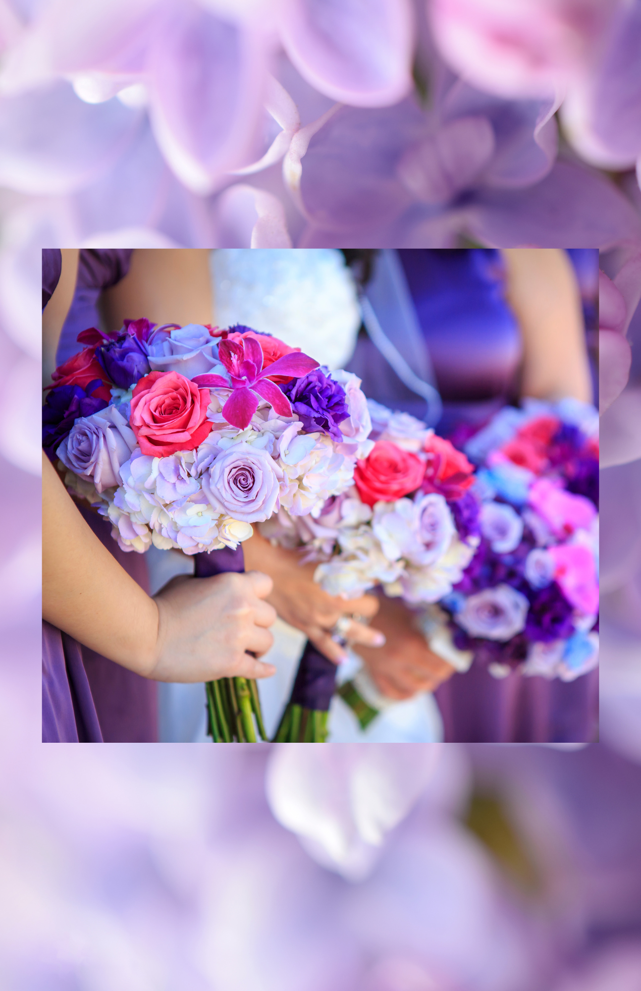 Lavendar,Lilac- BLOG 