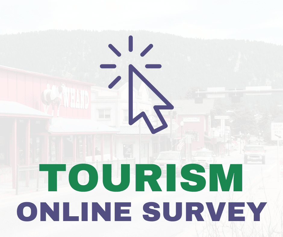 Tourism Online Survey (1)