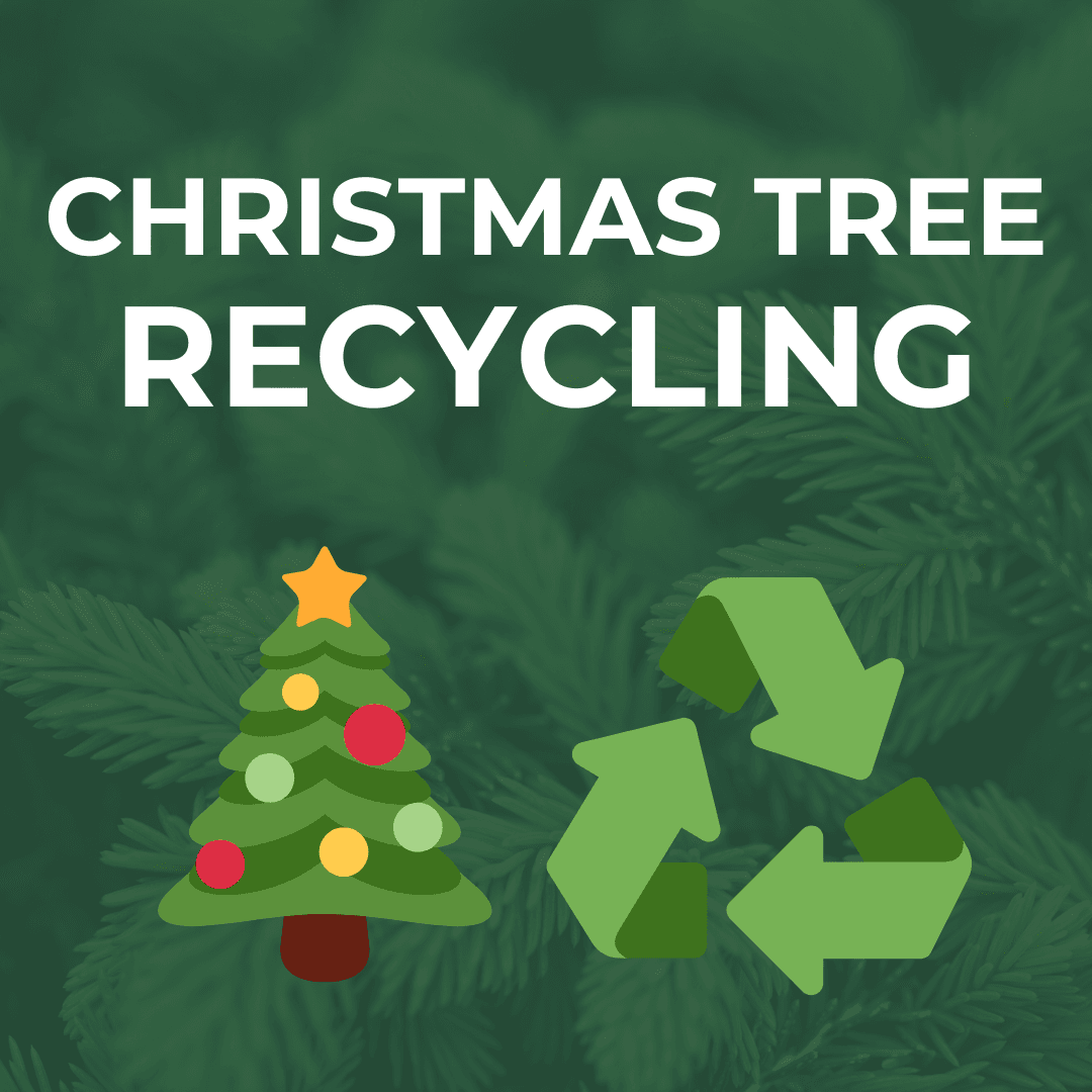 Christmas Tree Recycling