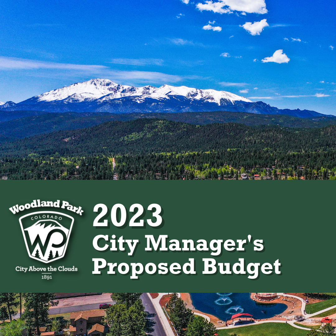 Graphic - Budget doc cover