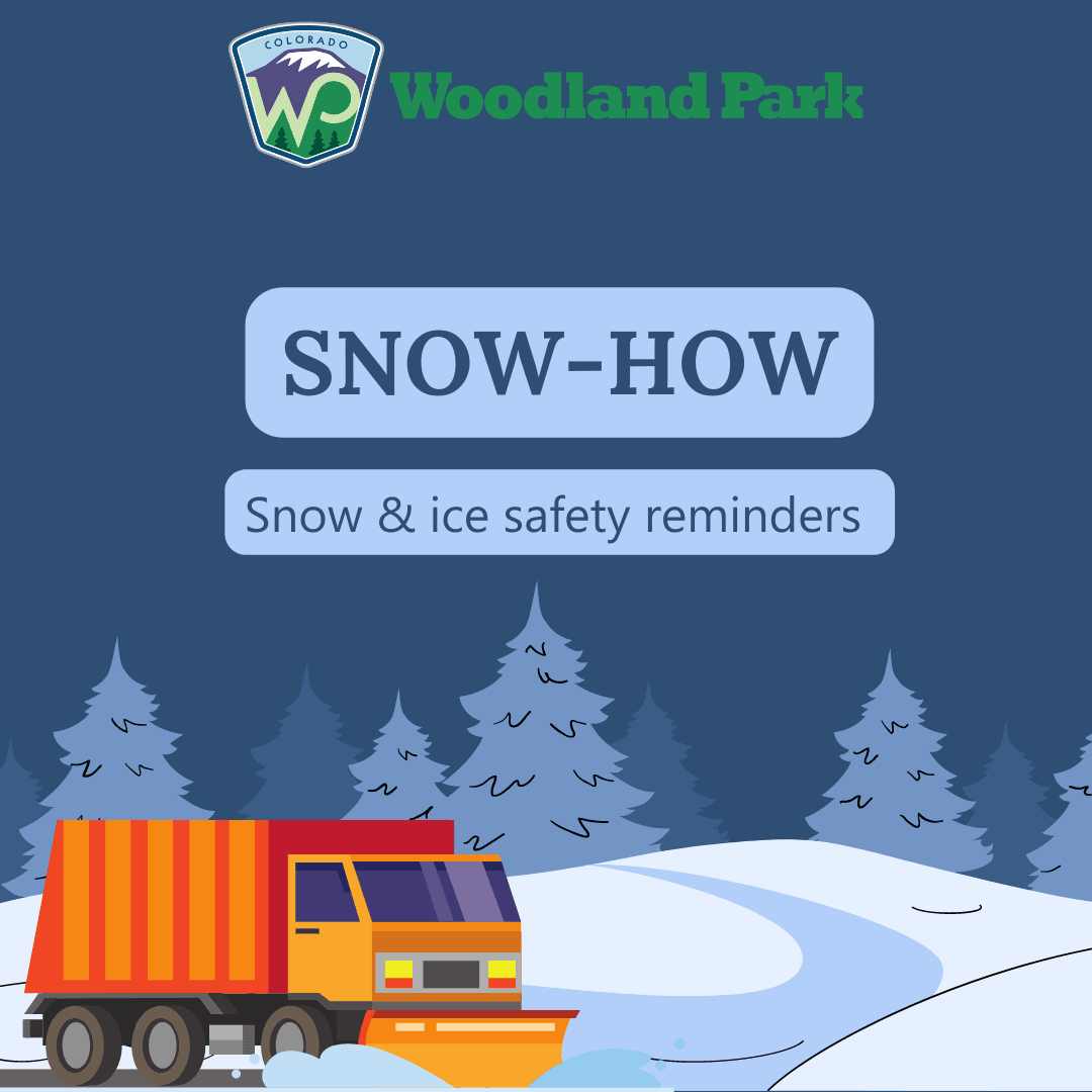 SNOW-HOW web thumnail