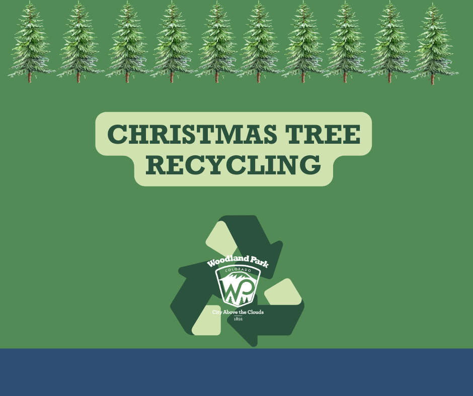 Christmas Tree Recycling News FLash