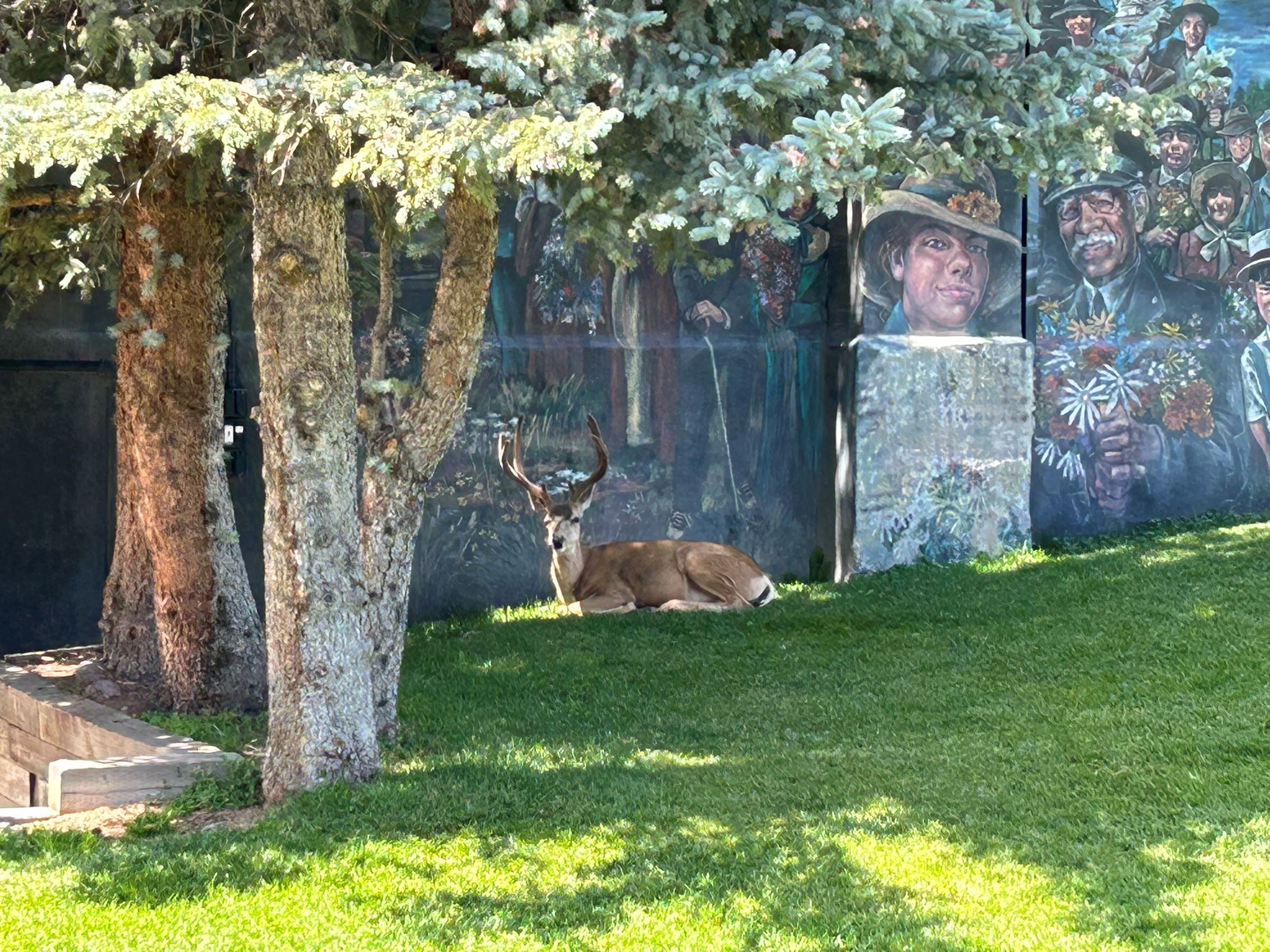 Deer in front of mural