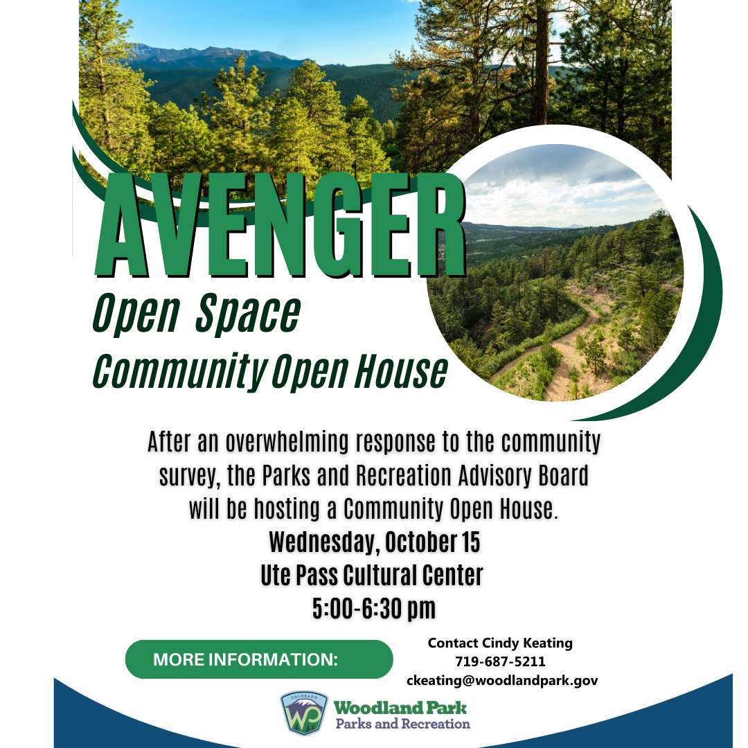 AVENGER Survey Flyer  (Facebook Post (Square)) (1)