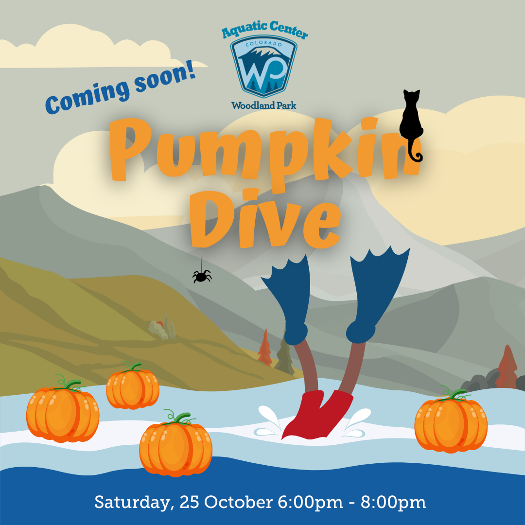 Pumpkin Dive 25