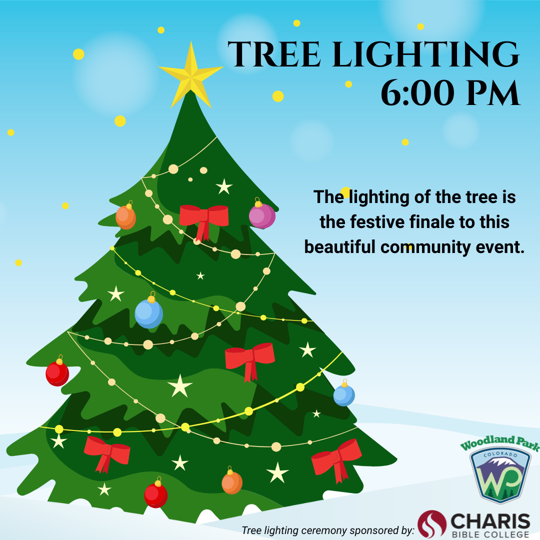 Holiday tree lighting with a decorated tree