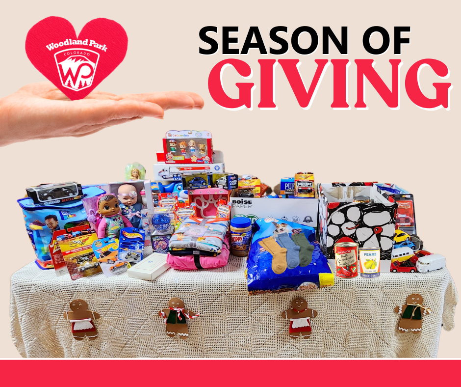 Season of Giving - showing a table filled with food and toy donations