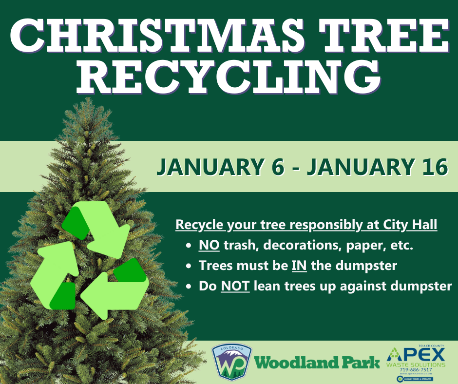 Christmas Tree Recycling Poster with image of a pine tree and city logo