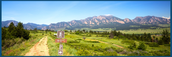 scenic view of hiking trail and mountains in background